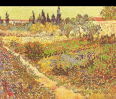 Vincent Van Gogh Garden in Bloom, Arles
